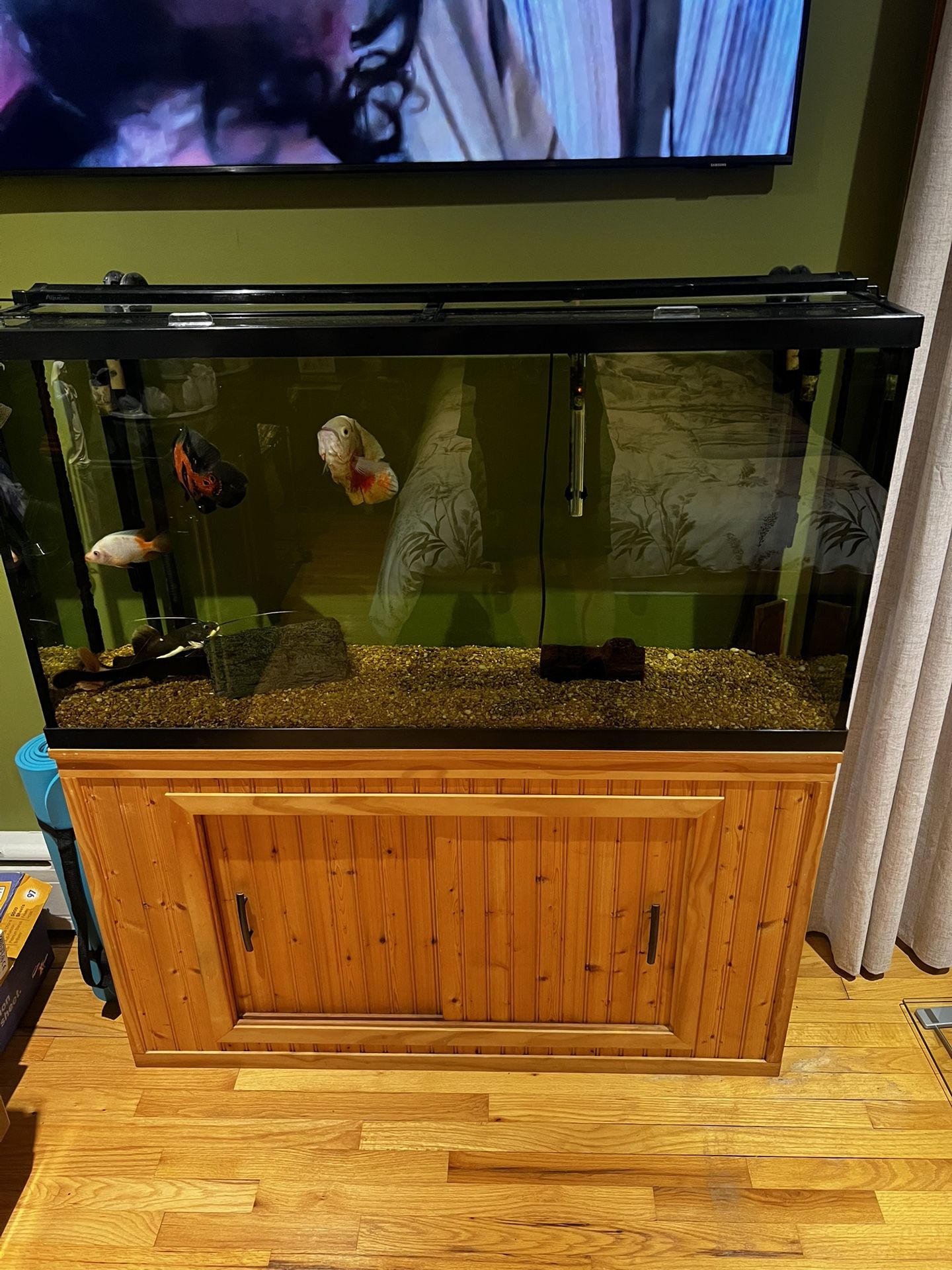 65 Gallon Fish Tank / Aquarium