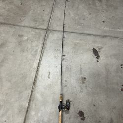 Diawa Fishing Rod And Reel 