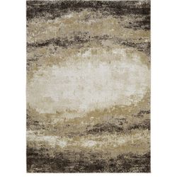 10/13 brand new thick modern rug