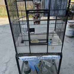 Bird Cage