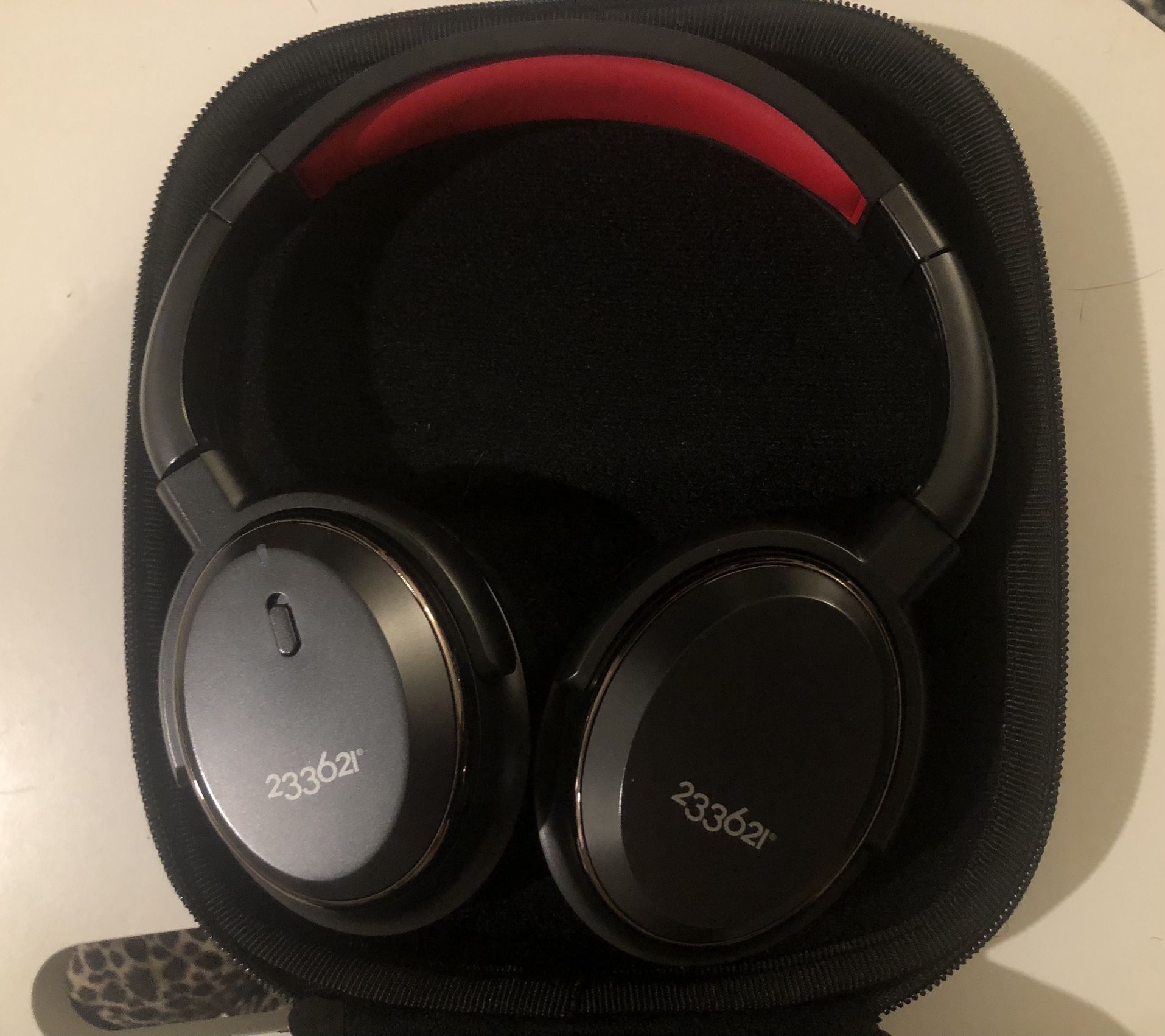 Noise Canceling Earphones