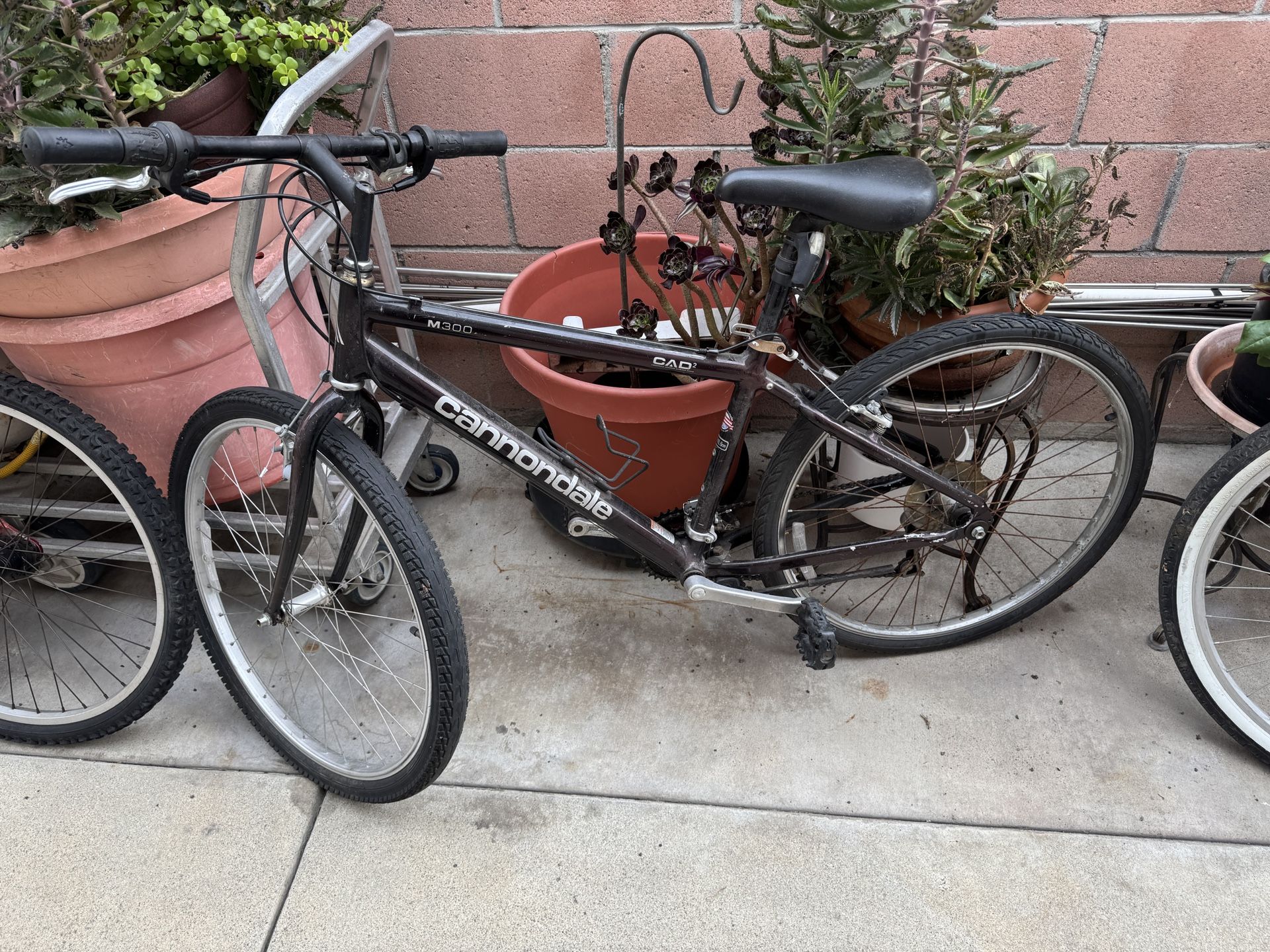 Cannondale bike M300