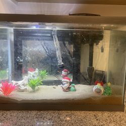 20 Gallon Fish Tank 