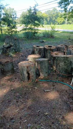 firewood