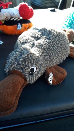 Pet toy with squeaker in it and paper sound in tail