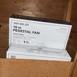 Fan