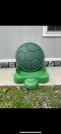Sand Box Turtle