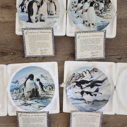 Collector Penguin Plates By Carolyn Jagodits 