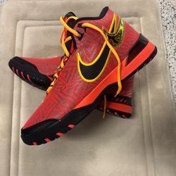 Nike LeBron NXXT Genisus basketball shoes
