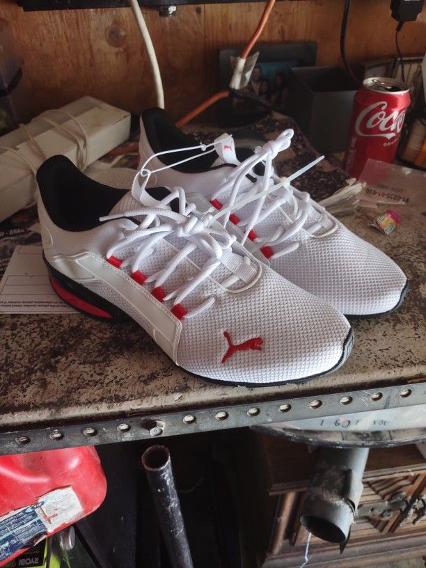 Puma