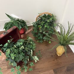 Nice artificial houseplants arranged in decorative containers, wooden treasure chest