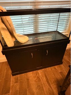 75 gal aquarium