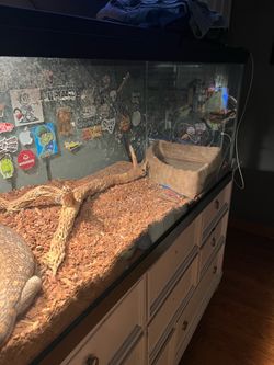 Reptile/Fish Animal Enclosure