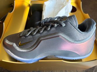 Nike LeBron XXIII (23) “Shut Up and Dribble”