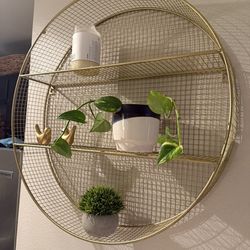 Circle Shelves