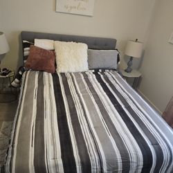 Queen Size Upholstered Standard Bed