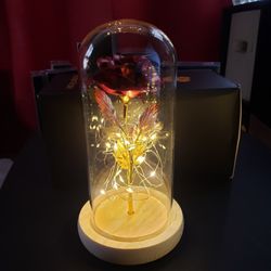Beauty And The Beast Rose