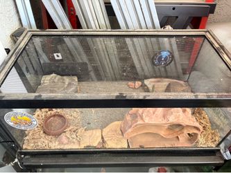 Gecko Cage