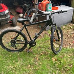 brand new mountain bike 