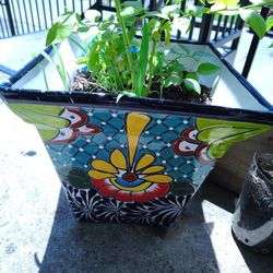 Large Ceramic Pots Great Condition 