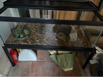 Reptile Aquarium