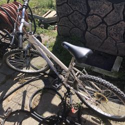 Road Master Mountain Bike