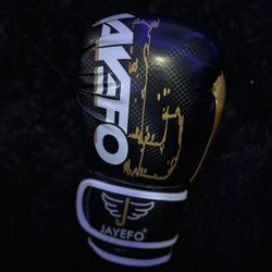 12oz Boxing Gloves