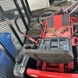 Riding Lawnmower, Snapper
