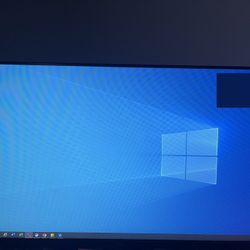 Computer Monitor (Dell)