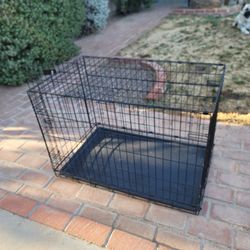 Dog Crate, Pup Not Included!