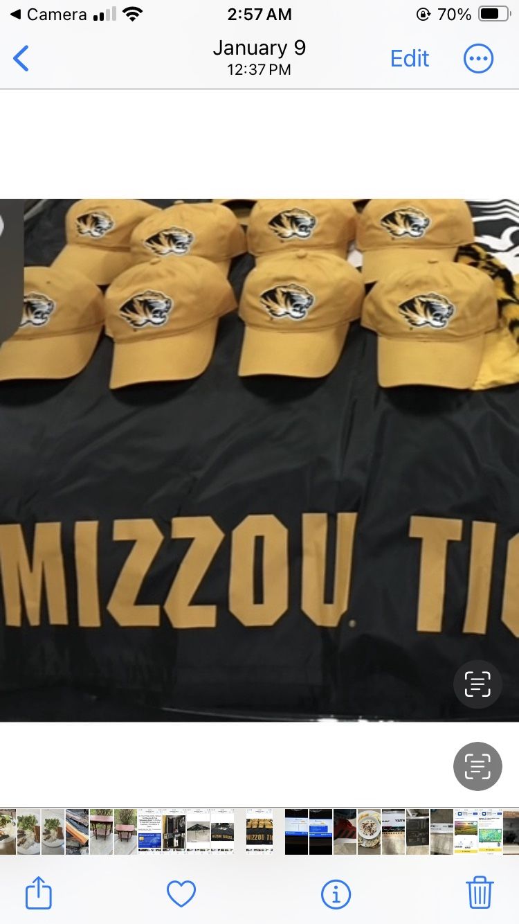 Mizzou Tiger football tailgate party package