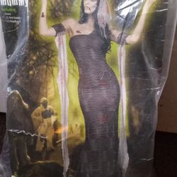 Womans Adult Halloween Costume Good Condition $20.00 