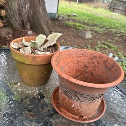 LOW PRICE MOVING- 2 PLANTERS