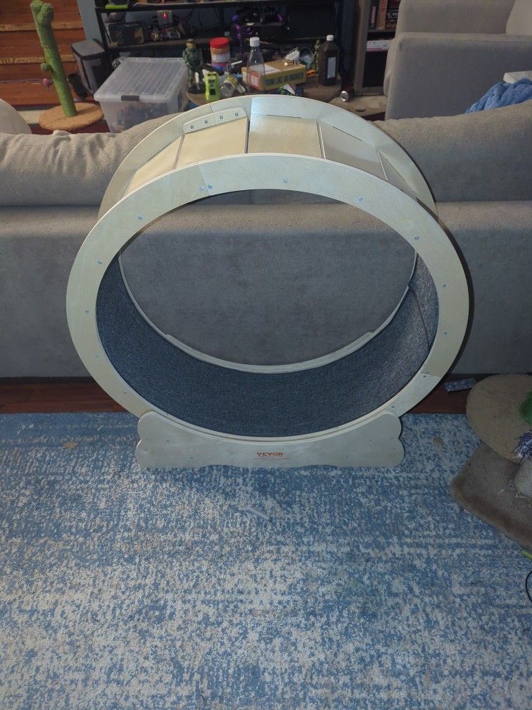 Cat Wheel