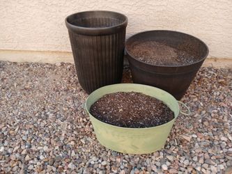 3 Large Pots with new organic dirt