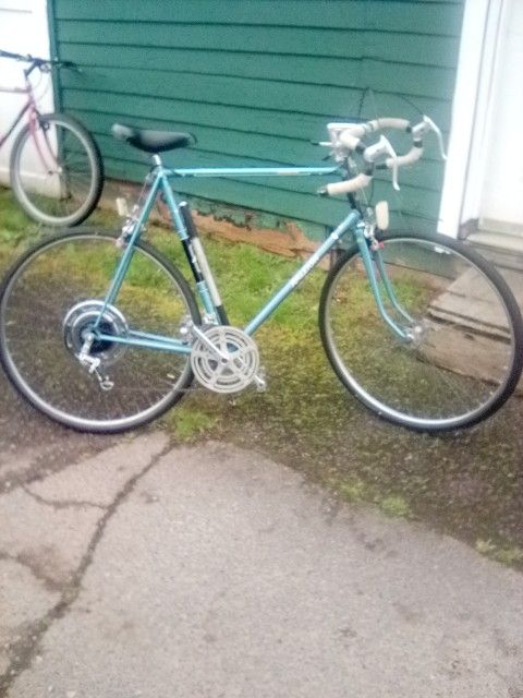 Vintage Relegh 10 Speed Tall Bike