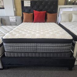Brand New Black Velvet Queen Bedframe + 16" Thick Gel/Pocket Coils Plush Mattress +7" Box Spring