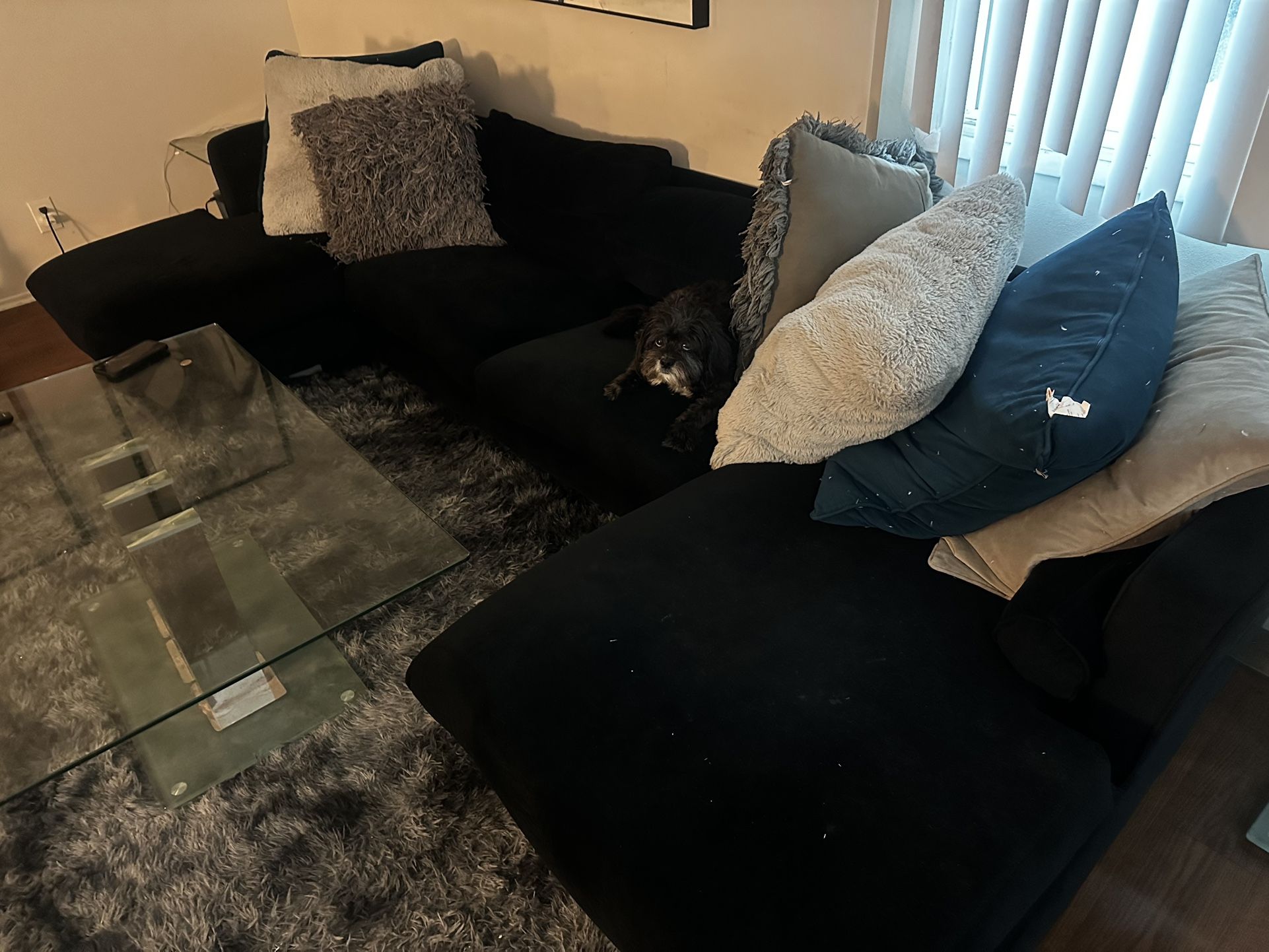 Black Sectional couch
