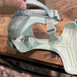 XS Dog harness 