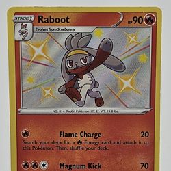 Raboot (Shiny Vault)