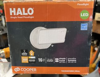 Halo Single Flood Light