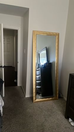 Large body mirror