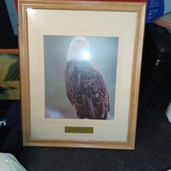 32 X 25 Eagle Picture 