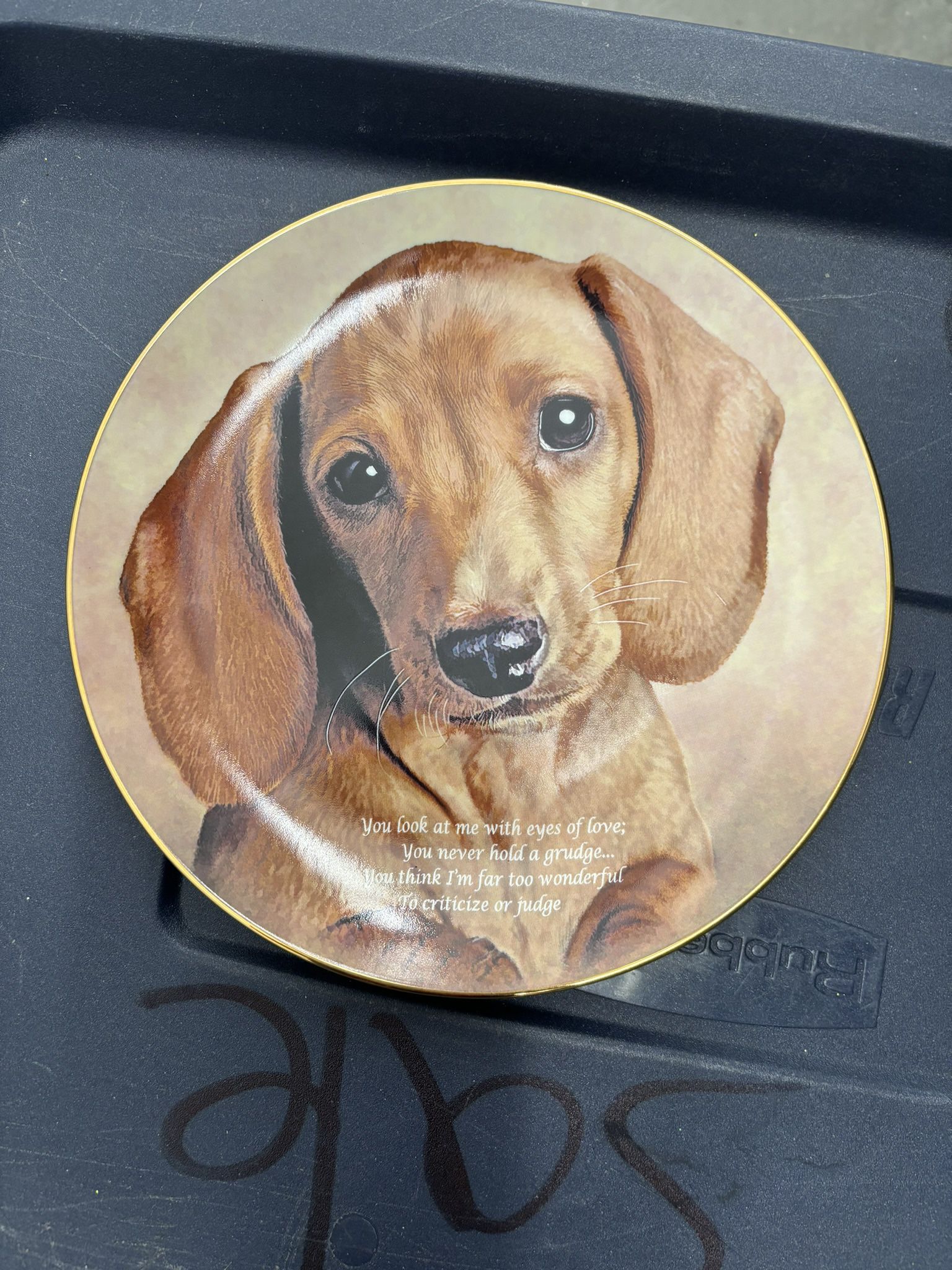 Danbury Mint Limited Edition Collection “ Cherished Dachshund “ China Plate “Eyes Of Love”