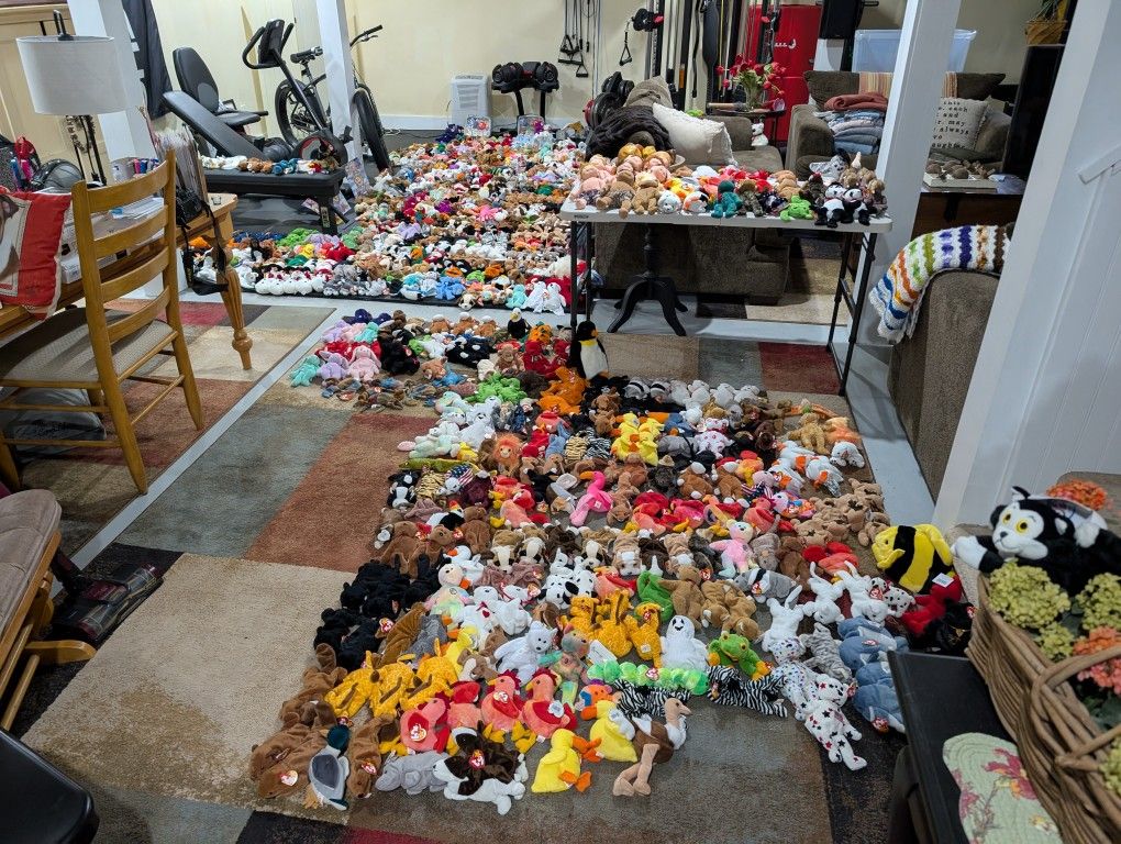 Massive Beanie Collection All Real No Fakes