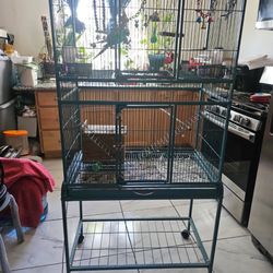 Bird Cage