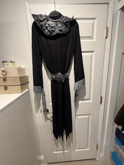 Halloween costume (adult) $10