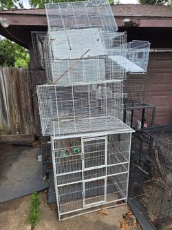 Bird cages