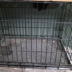 Dog Cage