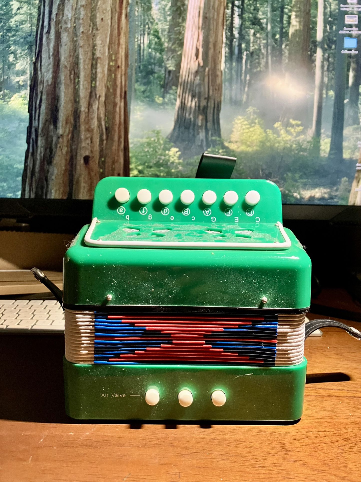 Kid Toy Accordion